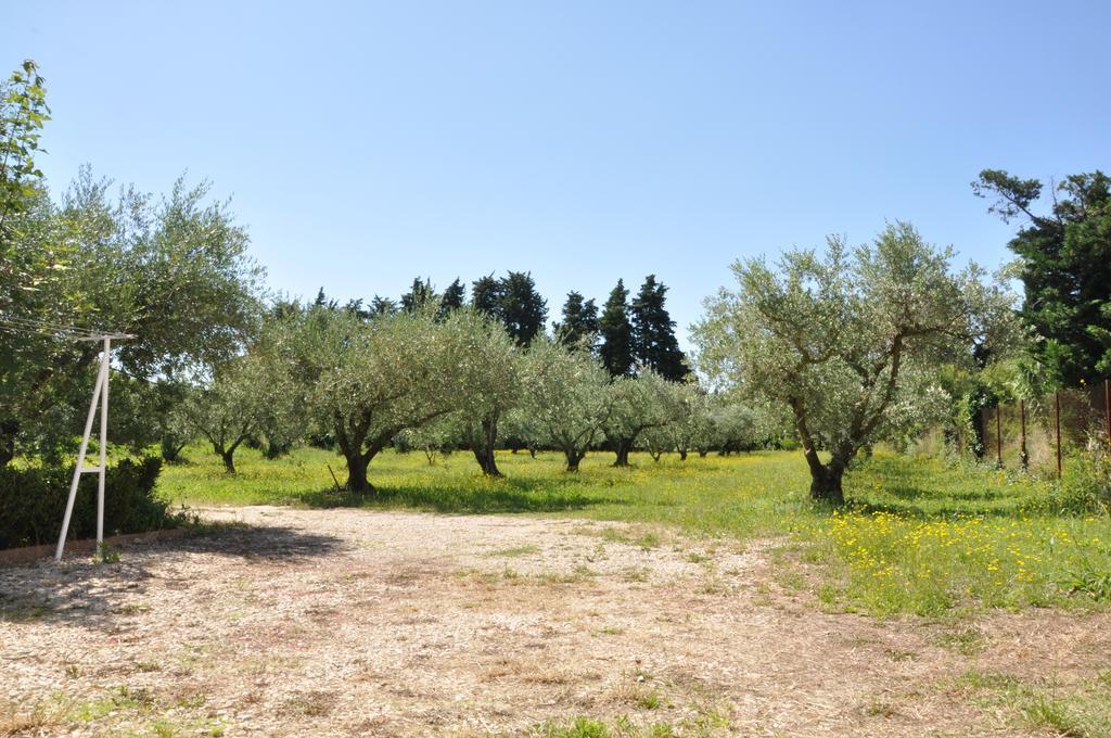Gite Du Mas Des Oliviers Mézoargues Exterior photo